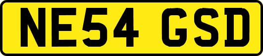 NE54GSD