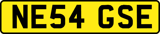 NE54GSE