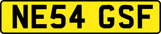 NE54GSF