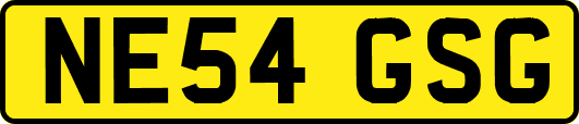 NE54GSG