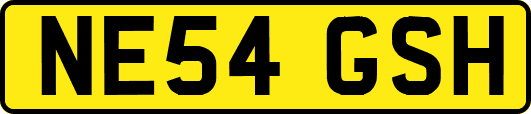 NE54GSH