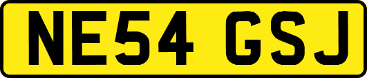 NE54GSJ