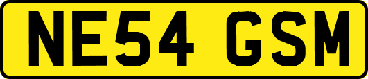 NE54GSM