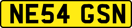 NE54GSN