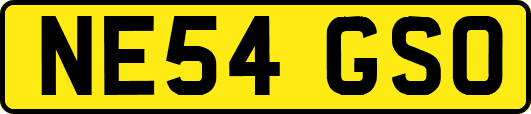 NE54GSO