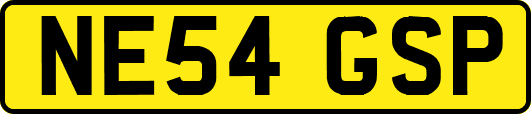 NE54GSP