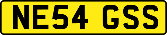 NE54GSS