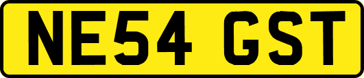 NE54GST