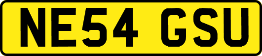 NE54GSU