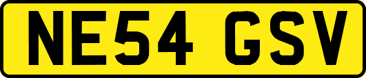 NE54GSV