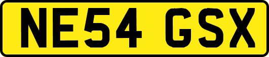 NE54GSX