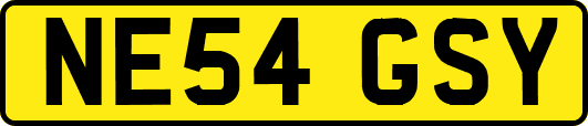 NE54GSY