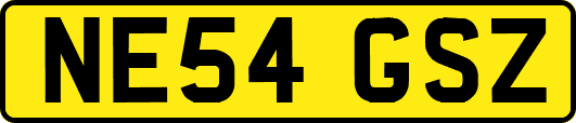 NE54GSZ