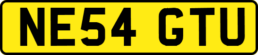 NE54GTU