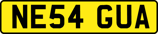 NE54GUA