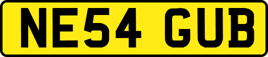 NE54GUB