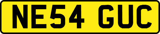 NE54GUC