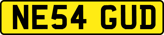 NE54GUD