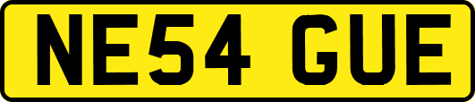 NE54GUE