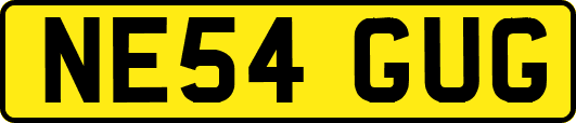 NE54GUG