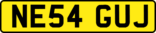 NE54GUJ