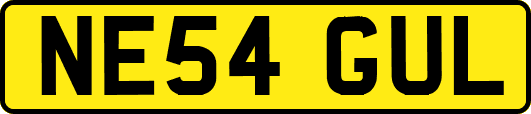 NE54GUL