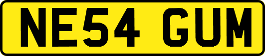 NE54GUM