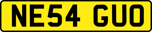 NE54GUO