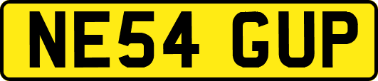 NE54GUP