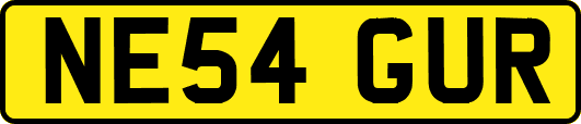 NE54GUR