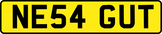 NE54GUT