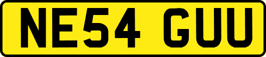 NE54GUU