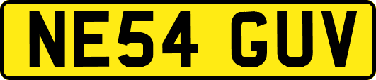 NE54GUV