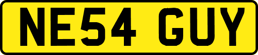 NE54GUY