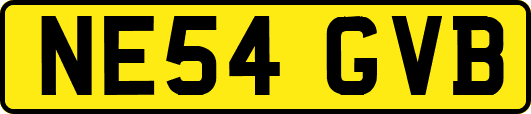 NE54GVB