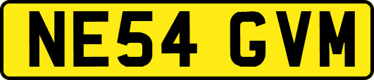 NE54GVM