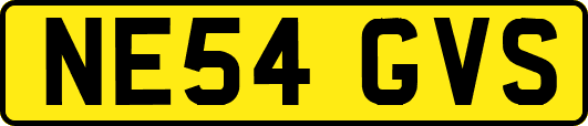NE54GVS