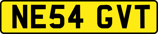 NE54GVT