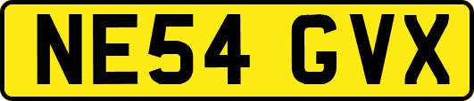 NE54GVX