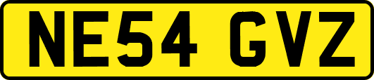 NE54GVZ