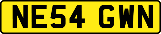 NE54GWN