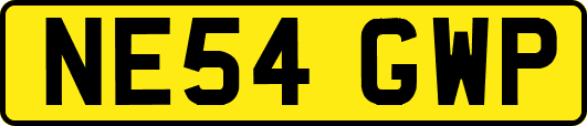 NE54GWP