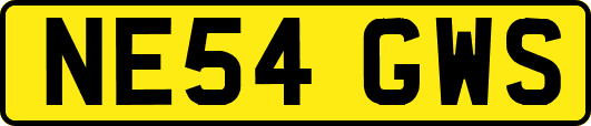NE54GWS