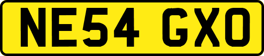 NE54GXO