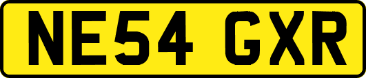NE54GXR
