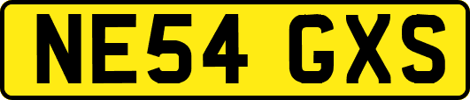 NE54GXS