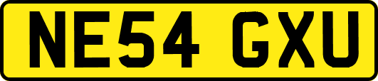 NE54GXU