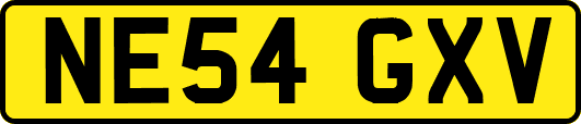 NE54GXV