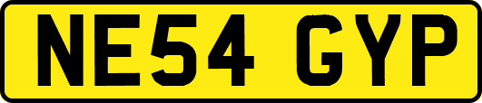 NE54GYP