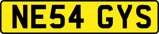 NE54GYS